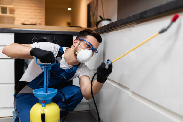 Best Flea Control Services  in Fowler, MI