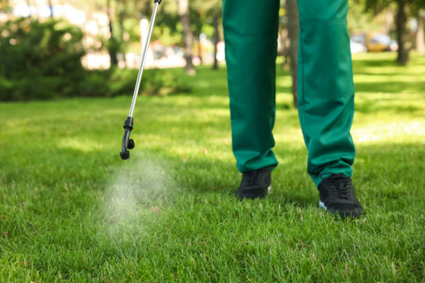 Best Pest Control Treatment  in Fowler, MI