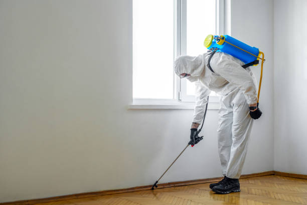 Best Pest Inspection Near Me  in Fowler, MI