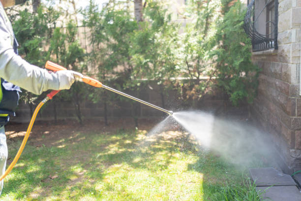 Best Ant Control Services  in Fowler, MI