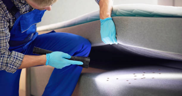 Best Commercial Pest Control Services  in Fowler, MI