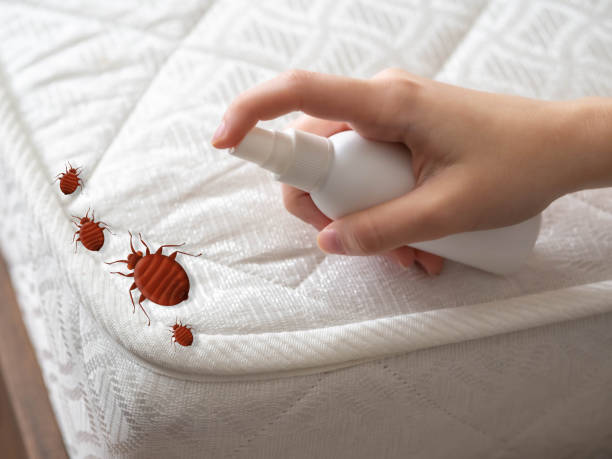 Best Wildlife Control Services  in Fowler, MI