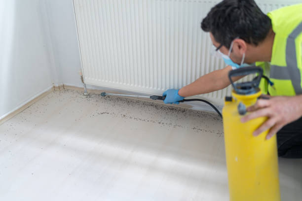 Best Emergency Pest Control  in Fowler, MI